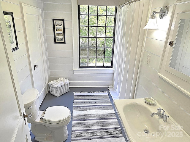 1051 14th Avenue Dr NW, Hickory, NC 28601 - bathroom with toilet, healthy amount of natural light, and a sink