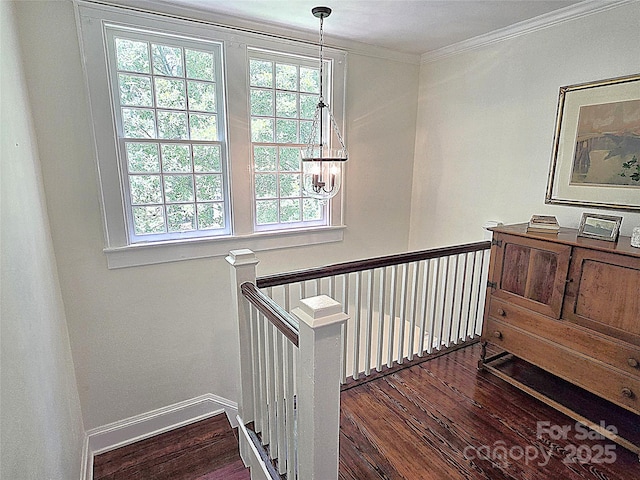 1051 14th Avenue Dr NW, Hickory, NC 28601 - stairs featuring wood finished floors, a chandelier, healthy amount of natural light, ornamental molding, and baseboards