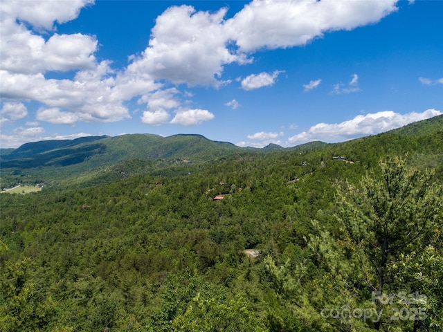 00TBD Fox Ridge Trl Unit 44, Marion, NC 28752