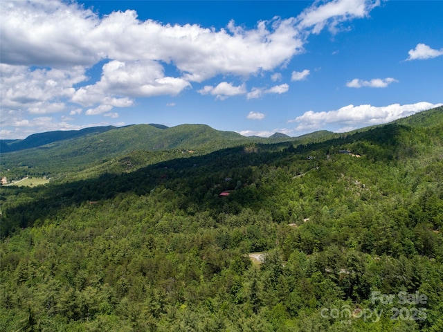 00TBD Fox Ridge Trl Unit 44, Marion, NC 28752