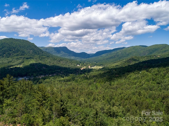 00TBD Fox Ridge Trl Unit 44, Marion, NC 28752