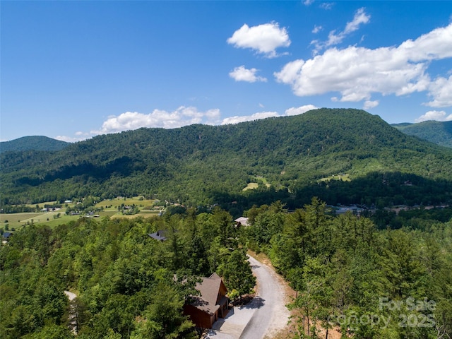 00TBD Fox Ridge Trl Unit 44, Marion, NC 28752