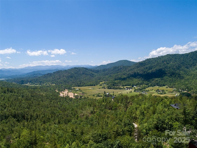 00TBD Fox Ridge Trl Unit 44, Marion, NC 28752
