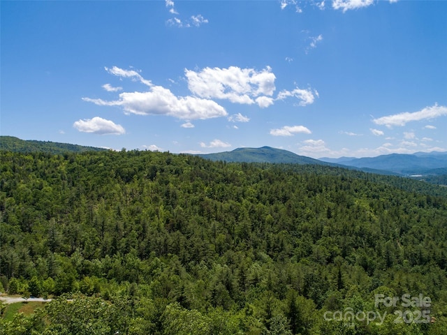 00TBD Fox Ridge Trl Unit 44, Marion, NC 28752