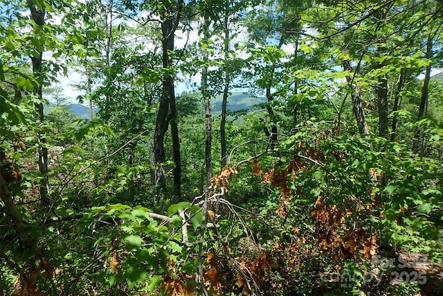 00TBD Fox Ridge Trl Unit 44, Marion, NC 28752