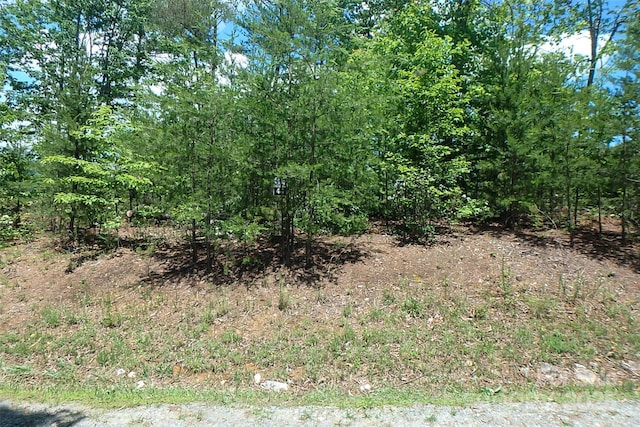 00TBD Fox Ridge Trl Unit 44, Marion, NC 28752
