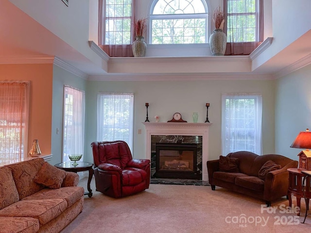 15494 Donnington Dr, Charlotte, NC 28277 - living area with a high ceiling, carpet floors, healthy amount of natural light, a premium fireplace, and crown molding