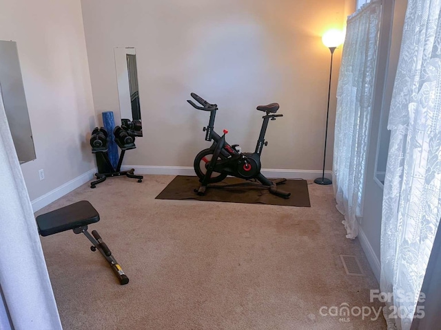 15494 Donnington Dr, Charlotte, NC 28277 - workout room featuring carpet flooring and baseboards