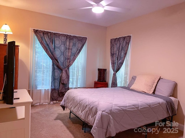 15494 Donnington Dr, Charlotte, NC 28277 - carpeted bedroom with ceiling fan