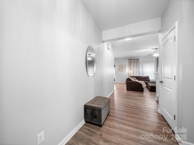 10426 Kempsford Dr, Charlotte, NC 28262 - corridor featuring wood finished floors and baseboards