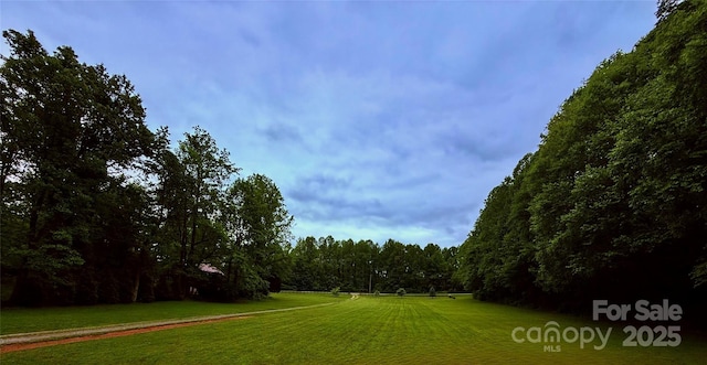 3540 Fork Creek Rd, Saluda, NC 28773 - view of home's community with a view of trees and a lawn