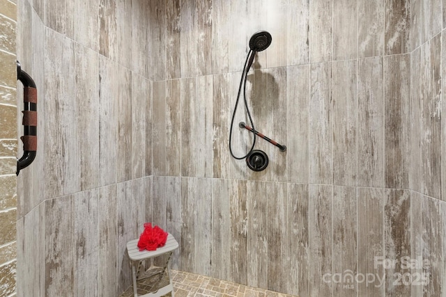 3540 Fork Creek Rd, Saluda, NC 28773 - bathroom view of tiled shower