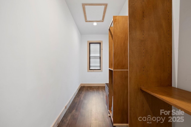3540 Fork Creek Rd, Saluda, NC 28773 - walk in closet with dark wood-style floors