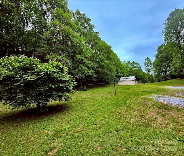 3540 Fork Creek Rd, Saluda, NC 28773 - view of green lawn with a wooded view and a storage shed