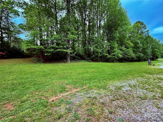 3540 Fork Creek Rd, Saluda, NC 28773 - view of green lawn