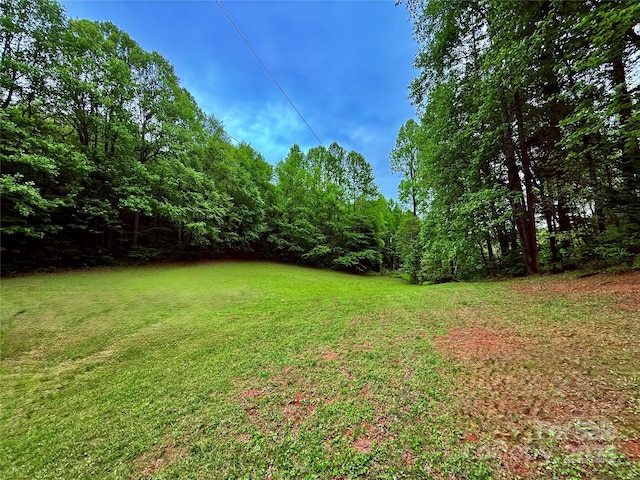 3540 Fork Creek Rd, Saluda, NC 28773 - view of grassy yard