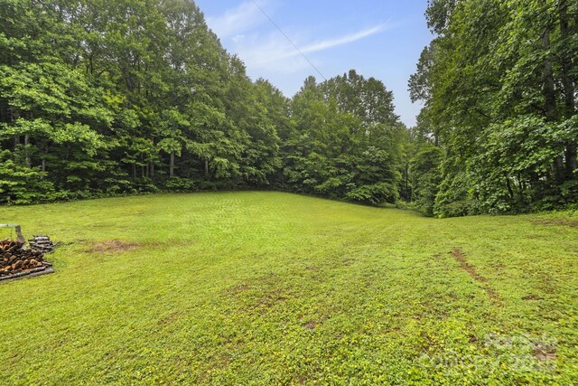 3540 Fork Creek Rd, Saluda, NC 28773 - view of green lawn with a forest view