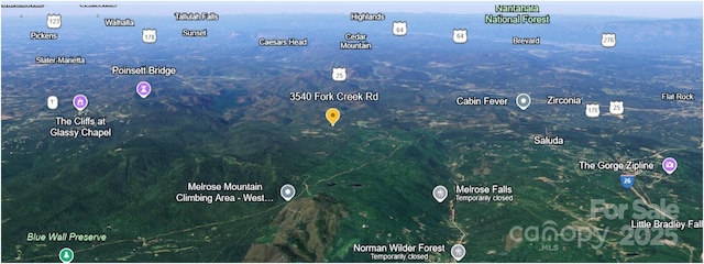 3540 Fork Creek Rd, Saluda, NC 28773 - map / location