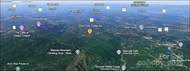 3540 Fork Creek Rd, Saluda, NC 28773 - map / location