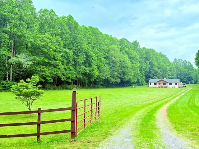 3540 Fork Creek Rd, Saluda, NC 28773 - photo 2