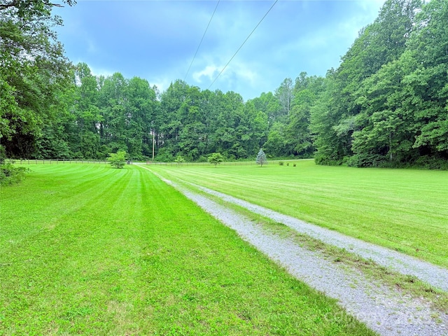 3540 Fork Creek Rd, Saluda, NC 28773 - photo 4
