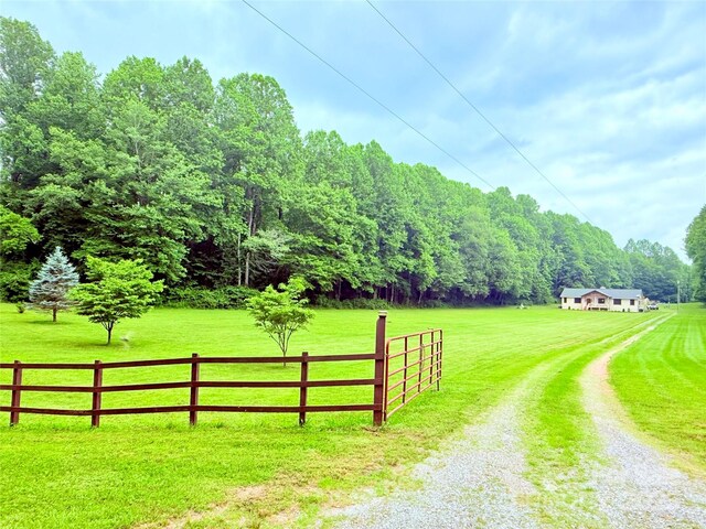 3540 Fork Creek Rd, Saluda, NC 28773 - photo 32