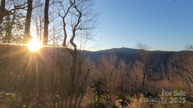 698 Youngs Mountain Dr, Lake Lure, NC 28746 - mountain view