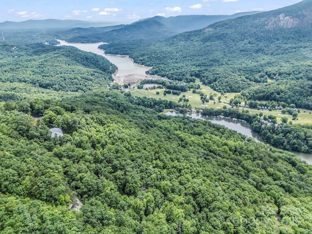 698 Youngs Mountain Dr, Lake Lure, NC 28746 - aerial view of a water and mountain view and a heavily wooded area