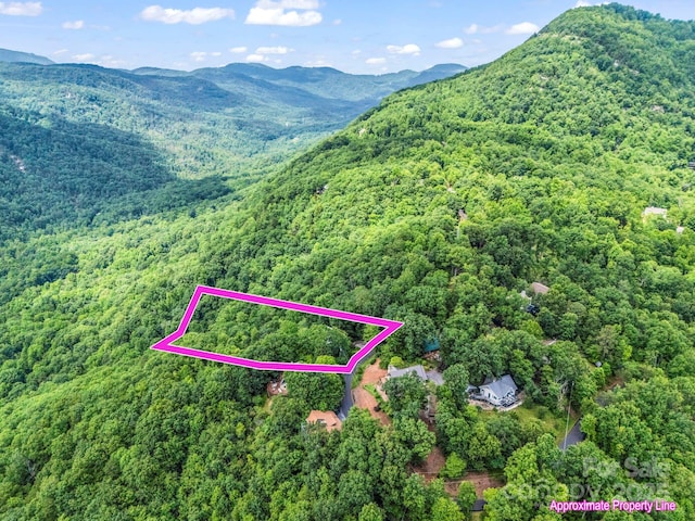 698 Youngs Mountain Dr, Lake Lure, NC 28746 - mountain view with a forest