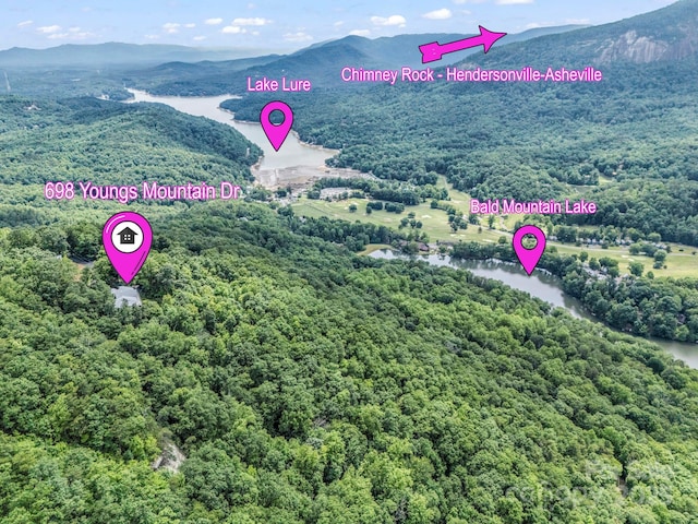698 Youngs Mountain Dr, Lake Lure, NC 28746 - bird's eye view of a water and mountain view and a forest