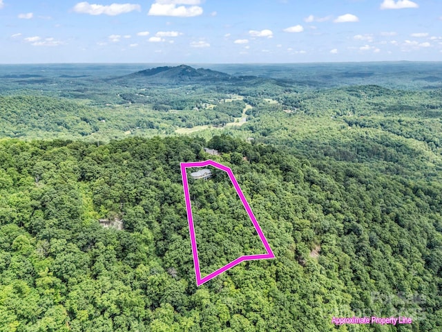 698 Youngs Mountain Dr, Lake Lure, NC 28746 - aerial view of property and surrounding area featuring a heavily wooded area and property parcel outlined