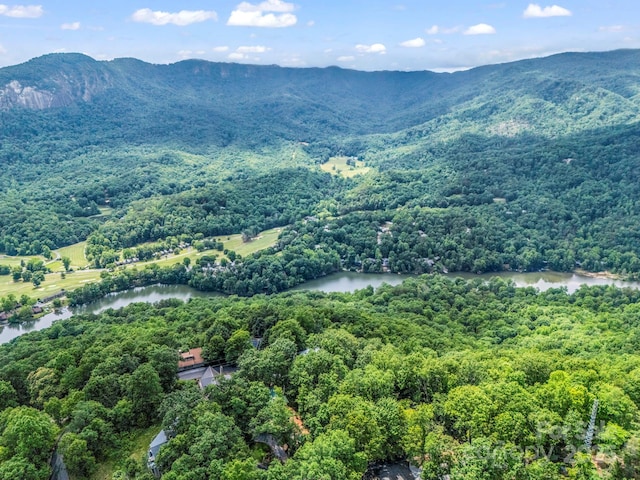 698 Youngs Mountain Dr, Lake Lure, NC 28746 - view of mountain background featuring a nearby body of water and a heavily wooded area