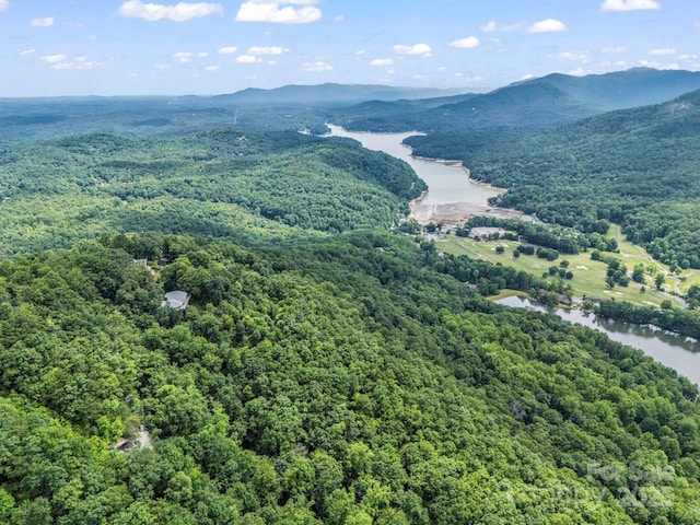 698 Youngs Mountain Dr, Lake Lure, NC 28746 - aerial view of a water and mountain view and a forest