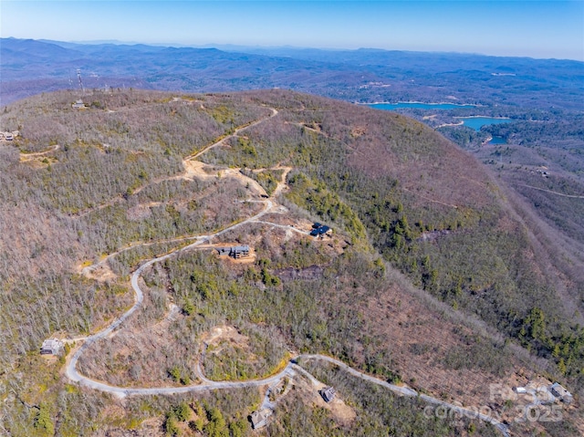 LOT19 W Whitetail Dr Unit 19, Sapphire, NC 28774