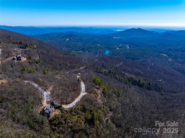 LOT19 W Whitetail Dr Unit 19, Sapphire, NC 28774
