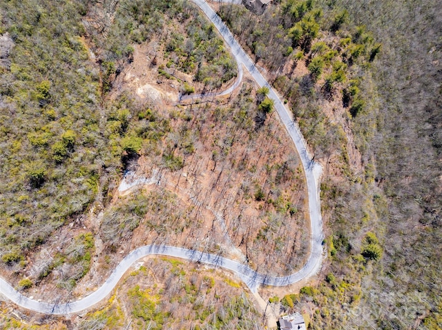 LOT19 W Whitetail Dr Unit 19, Sapphire, NC 28774