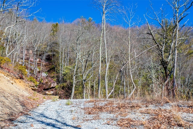 LOT19 W Whitetail Dr Unit 19, Sapphire, NC 28774