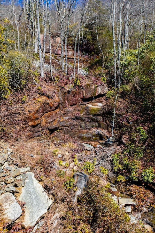 LOT19 W Whitetail Dr Unit 19, Sapphire, NC 28774