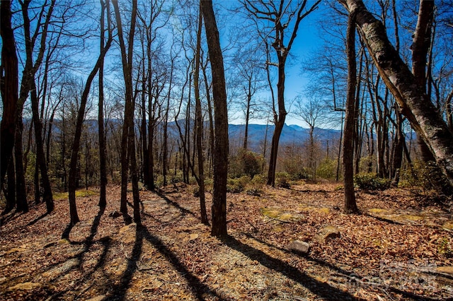 LOT19 W Whitetail Dr Unit 19, Sapphire, NC 28774