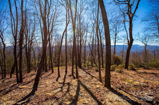 LOT19 W Whitetail Dr Unit 19, Sapphire, NC 28774