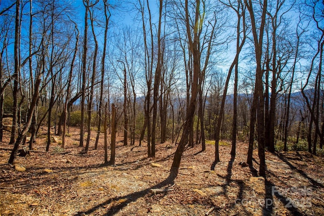 LOT19 W Whitetail Dr Unit 19, Sapphire, NC 28774