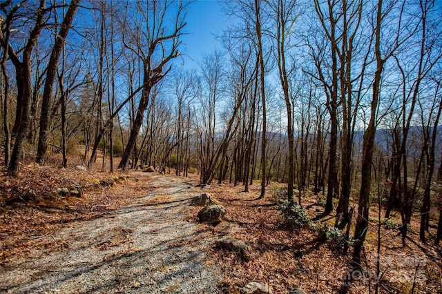 LOT19 W Whitetail Dr Unit 19, Sapphire, NC 28774