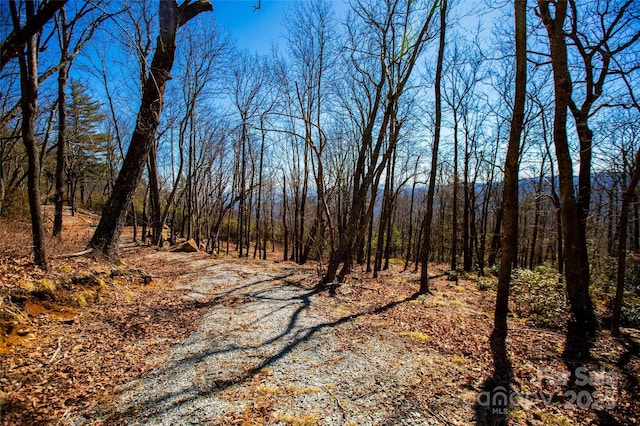 LOT19 W Whitetail Dr Unit 19, Sapphire, NC 28774