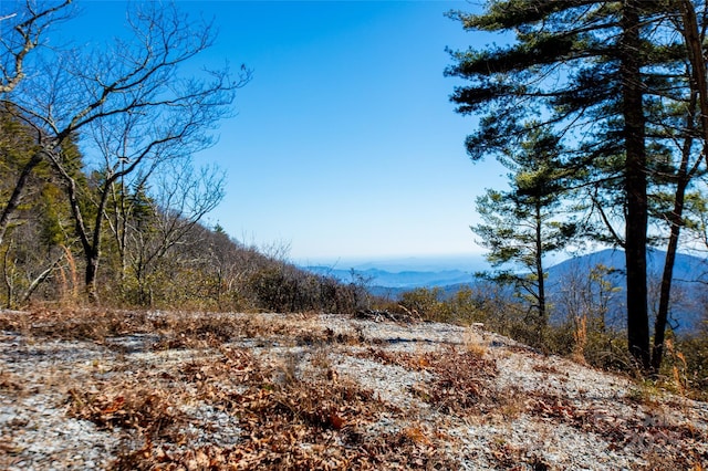 LOT19 W Whitetail Dr Unit 19, Sapphire, NC 28774