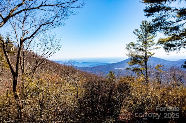 LOT19 W Whitetail Dr Unit 19, Sapphire, NC 28774