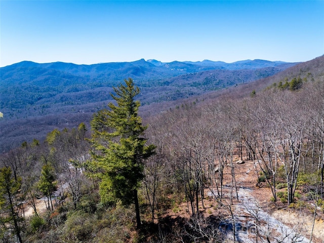 LOT19 W Whitetail Dr Unit 19, Sapphire, NC 28774