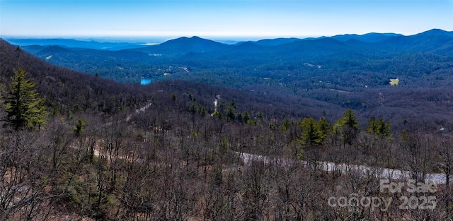 LOT19 W Whitetail Dr Unit 19, Sapphire, NC 28774