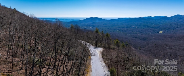 LOT19 W Whitetail Dr Unit 19, Sapphire, NC 28774
