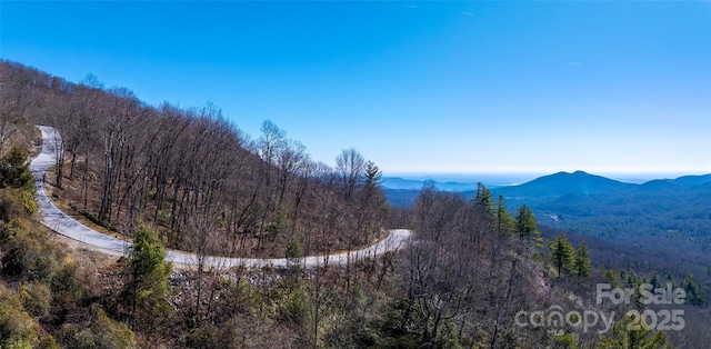 LOT19 W Whitetail Dr Unit 19, Sapphire, NC 28774