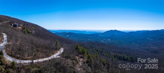 LOT19 W Whitetail Dr Unit 19, Sapphire, NC 28774